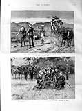 1887 Transvaal Gold Fields Burma Mule Battery Artillery