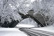 Bridge Tableau in Snowy Rock Creek Park, Washington Photograph - Beautiful 16x20-inch Photographic Print by Carol M. Highsmith