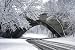 Bridge Tableau in Snowy Rock Creek Park, Washington Photograph - Beautiful 16x20 Photographic Print by Carol M. Highsmith