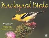 Backyard Birds 2008 Calendar