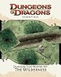 Dungeon Tiles Master Set - The Wilderness: An Essential Dungeons & Dragons Accessory (4th Edition D&D)