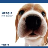 THE DOG ビーグル 2009年カレンダー