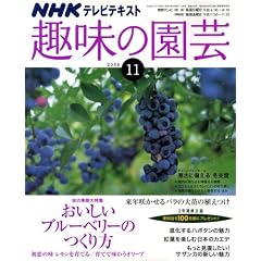 NHK ��̉��| 2008�N 11���� [�G��]