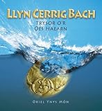 Llyn Cerrig Bach : trysor o'r Oes Haearn