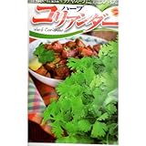 ハーブ コリアンダー (304)