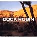 Cock Robin - I Dont Want to Save the World