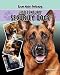 Our Best Friends: 21st Century Security Dogs
