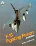 General Dynamics F-16 Fighting Falcon - Aero Series 42