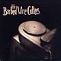 The Barbed Wire Cutters