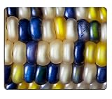 MSD Natural Rubber Gaming Mousepad IMAGE ID: 32378463 Flint corn also called Indian or calico maize displays a vivid array of colors at fall harvest time