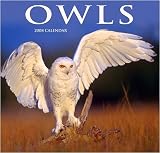 Owls Wall (WYMANA) - 2008 Calendar