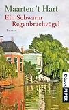 Ein Schwarm Regenbrachvögel: Roman