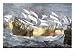Seizure of Spanish Treasure Ships by the English Fleet of Sir Francis Drake Giclee Poster Print, 12x9