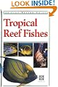Tropical Reef Fishes (Periplus Tropical Nature Guide)