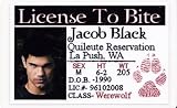 513itud6zkL. SL160  Twilight Jacob Black  Licence to Bite ID Card