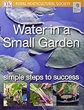 Water in a small garden