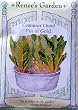Chard Pot of Gold Seeds 150 Seeds