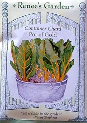 Chard Pot of Gold Seeds 150 Seeds