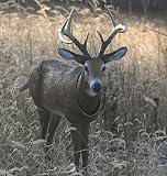 Sporting Goods : Buckwing® Lifelite® Bobb'n Head™ Deer Decoy