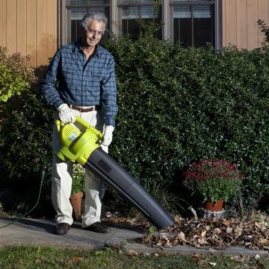 Sun Joe Blower Joe 3-in-1 Electric Blower, Vacuum and Leaf Shredder