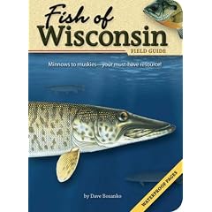 Fish of Wisconsin Field Guide (Fish of...)