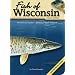 Fish of Wisconsin Field Guide (Fish of...)