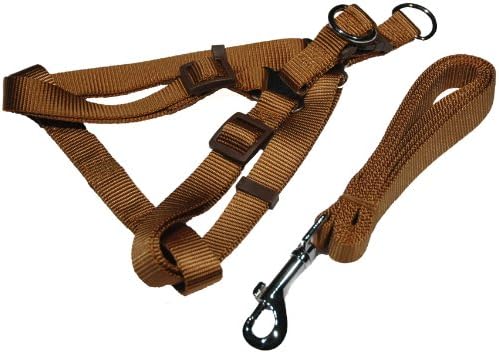 Dog Harness and Leash Set, 3/8 Inch Halter Style, Small in Chocolate By Zone 70