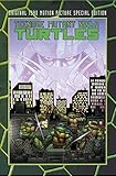 Teenage Mutant Ninja Turtles : original 1990 motion picture