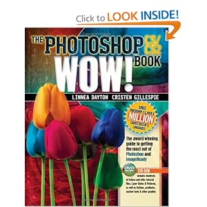 Photoshop CS / CS2 Wow! Book, The, 1/e