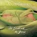 Search : Be Gentle with the Young
