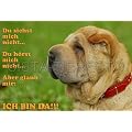 Metall-Warnschild Shar Pei