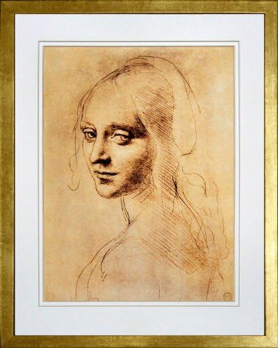 Female Head by Leonardo Da Vinci. Framed Art Print Poster. Custom Made Real Wood Modern Scratched Gold Frame (17 1/8 x 21 1/8)