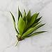 Factory Direct Craft Green Vinyl Aloe Plant Pick | For Indoor or Outdoor Decor