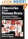 Discoveries in the Human Brain: Neuroscience Prehistory, Brain Structure, and Function