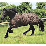 Saxon 600D Turnout Blanket 200g 81 Red