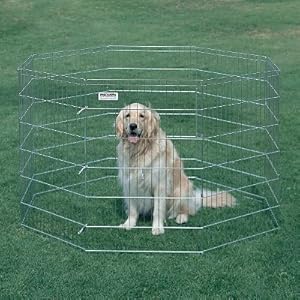PREC EXERCISE PEN SILVER 48 PREC EXERCISE PEN SILVER 48