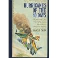 Hurricanes of the 40 days by Harold Calin