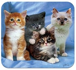 HandStands Kittens Deluxe Mouse Mat