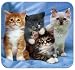 HandStands Kittens Deluxe Mouse Mat