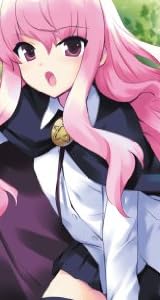 ゼロの使い魔 19 (MF文庫 J や)