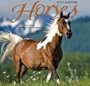 Horses 2010 Wall Calendar