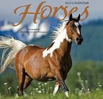 Horses 2010 Wall Calendar