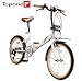 �g�b�v���� TOPONE 20�C���`�܏�ݎ��]�� FDV206PW-J88 �p�[���z���C�g
