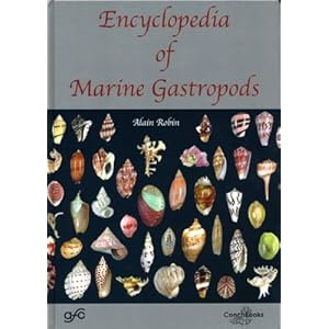 Marine Gastropods
