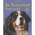 Le bouvier bernois