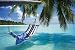 Tropical Beach (Hammock Under Tree, Huge) Art Poster Print - 39\