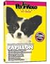 PAPILLON DVD! Includes Dog & Puppy Training Video