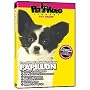 PAPILLON DVD! Includes Dog & Puppy Training Video
