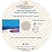Bücher : Traffic and Transport 2030 - Visions, Concepts, Technologies: Proceedings on International Workshop and Congress, 27th to 29th February 2008, Darmstadt
