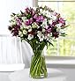 Alstroemeria Abundance